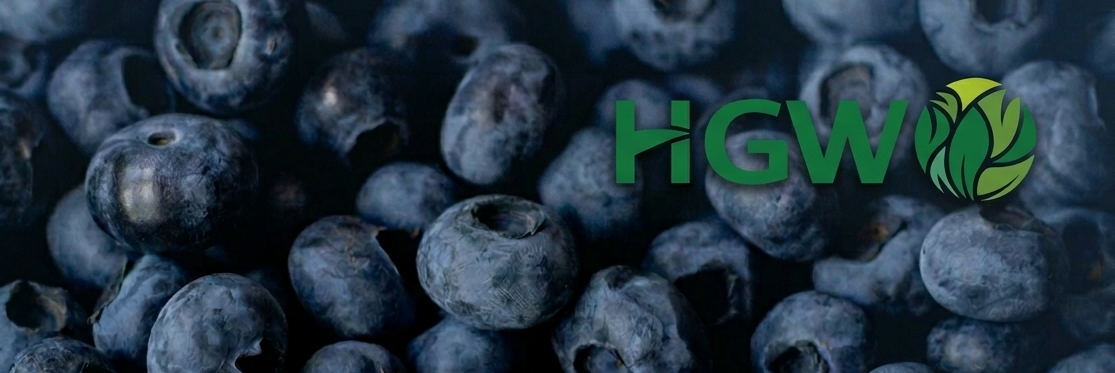 Productos naturales HGW — arándanos